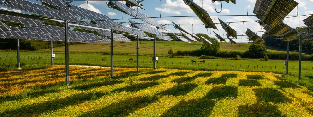 Agrivoltaïsme